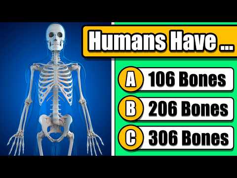 Human Body General Knowledge Quiz 🦴❤️ | 50-Question Challenge About Anatomy and Physiology