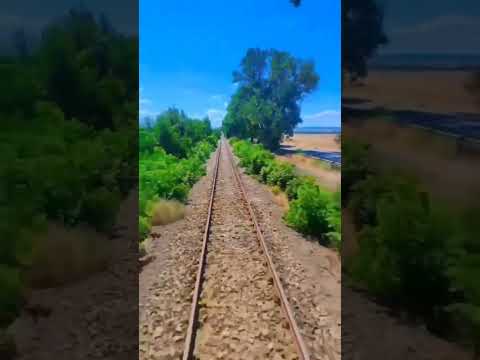 tren short video in Europe capcut viral video (official video)