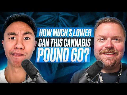 Looking For DISPENSARY EFFICIENCY | Ep 39 - NATURAL WELLNESS