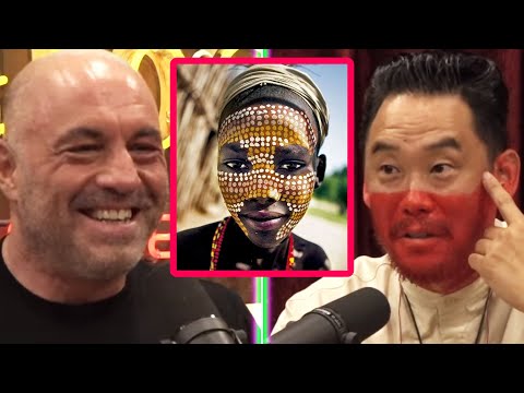 David Choe: Art Lessons With The Hadza Tribe | Joe Rogan | JRE 1965