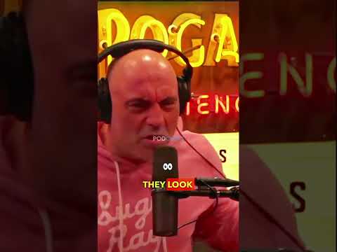 Mike Tyson and Joe Rogan talk about how DANGEROUS and BEAUTIFUL TIGERS ARE.😯⁉️⚠️🐅🐯#tiger #joerogan