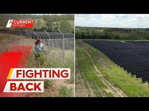 Family in backyard battle with solar giant over neighbouring fence | A Current Affair