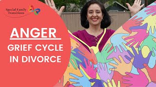 Anger & Grief Process in Separation & Divorce: Experience & Advice in Autism / Special Needs Divorce