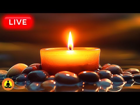 🔴 Harmonious Meditation Music 24/7 🍂3280: Nature Sounds to Reduce Stress & Anxiety, Sleep Meditation