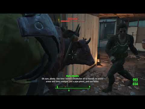 Fallout Companions Are Insane