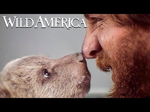 Wild America | S5 E7 The Man Who Loved Bears Part 1 | Full Episode HD