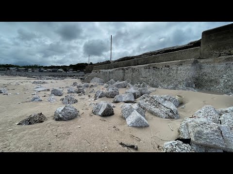 地震で干上がった漁港で7ヶ月生存した奇跡の生物