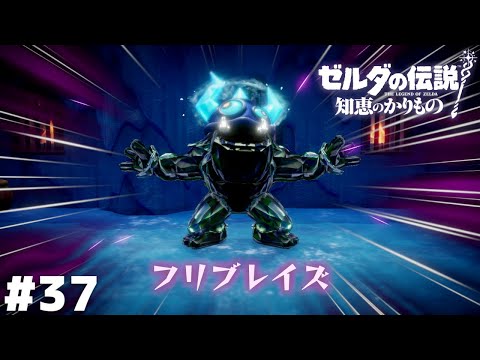 頭はクールに、心はホットに【ゼルダの伝説 知恵のかりもの】＃３７