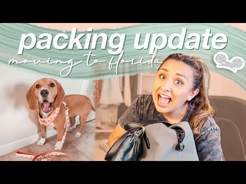 PACKING UPDATE | my moving budget, debt free journey