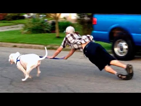 TRY NOT TO LAUGH 😆 Best Funny Videos Compilation 😂😁😆 Memes PART 162