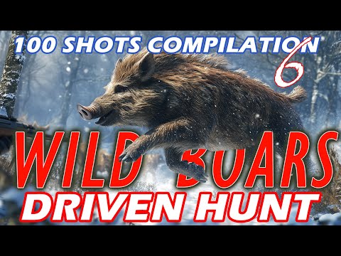 🎯Wild Boar 🐗100 shots compilation 🐗 06