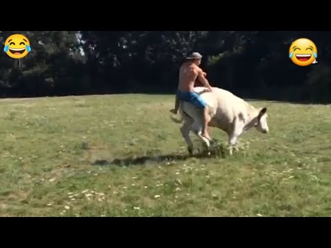 My Favorite Funny  Animals Video 😘😂😂 | New Funny Videos 2025 | Animals Video ❤ |