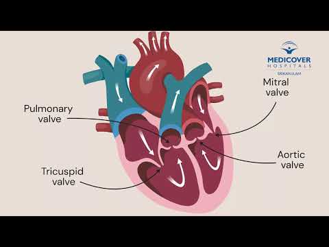 What Causes Heart Failure? | Medicover Hospitals