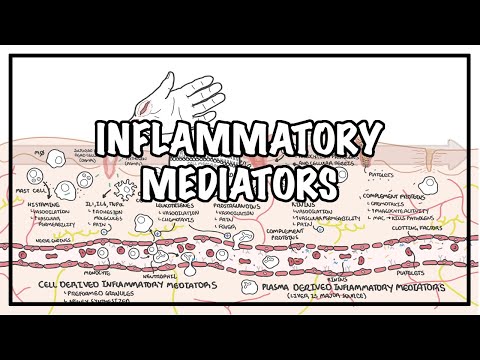 Inflammatory mediators and the inflammatory response