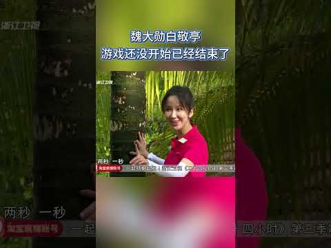 白敬亭魏大勋 游戏还没开始已经结束了