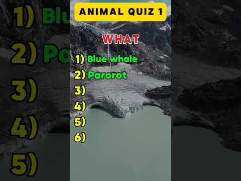 Can you get 6/6#animal quiz#quiz#shorts#quizgame#quizshow#todayquiz