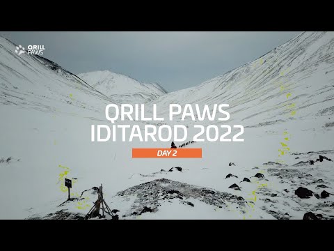 Iditarod Highlight | DAY 2 | QRILLPAWS 2022