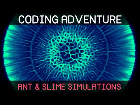 Coding Adventure: Ant and Slime Simulations