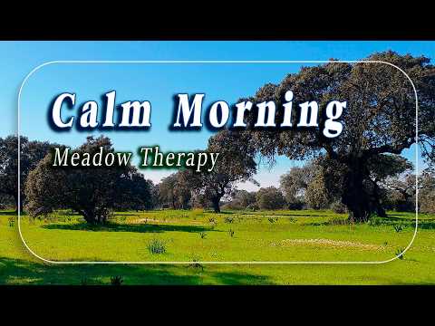 Healing Frequency Calm Morning 🌳Woodland Pasture & Birdsong Ambience🐑🌳Meadow Sounds Positive Energy