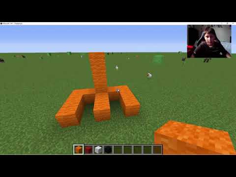 My First Video! Minecraft Chicken!