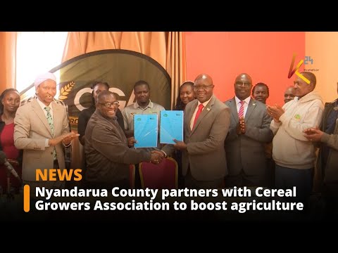 Nyandarua signs MOU with cereal growers to support farmers