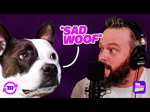 DAN HATES BOGART THE DOG?! - Spilling the AGTea