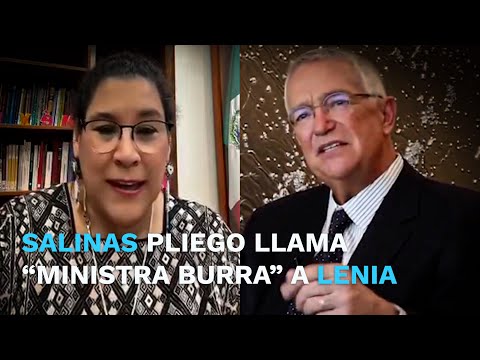 Salinas Pliego llama “Ministra Burra” a Lenia Batres tras abandonar sesión de la Corte