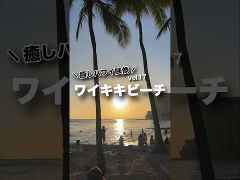 本日の #癒しハワイ 映像は #ワイキキビーチ から！#ハワイ #ハワイ旅行 #ワイキキ #ハワイ気分 #hawaii #waikiki #waikikibeach #oahu #beach