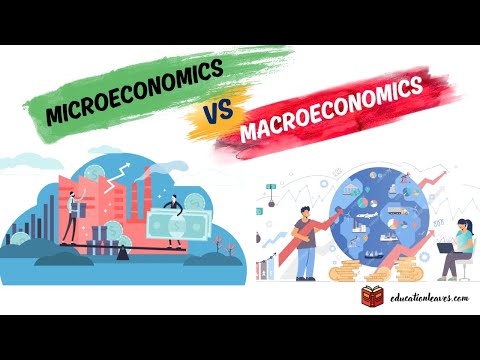 Difference between Macro and Microeconomics | Microeconomics  VS Macroeconomics