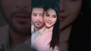 Sidnaaz forever status 💞🌹#shorts #edit#sidnaaz #shenazgill #siddharthshukla#viralvideo