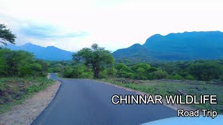 CHINNAR ROAD TRIP | CHINNAR WILDLIFE | ANAMALAI TIGER RESERVE | 4K