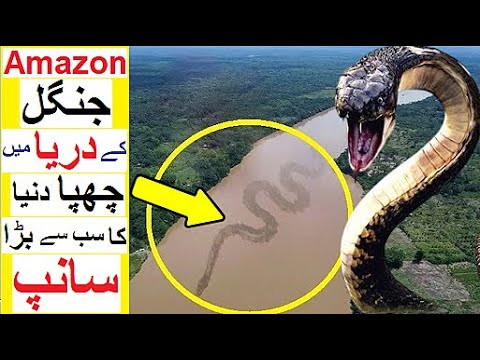 100 feet long Monster Snake of Amazon Jungle - Does it really Exist?