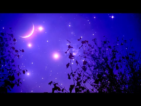 10 Hours Calming Sleep Music 🌙 Relaxing Music, Stress Relief Music, Insomnia