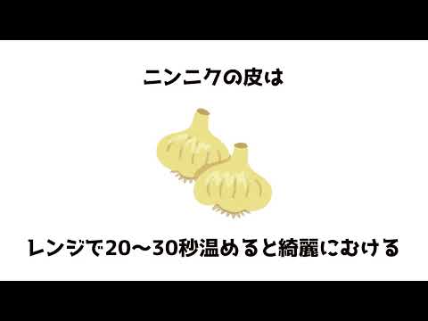 日常で使える雑学⑤