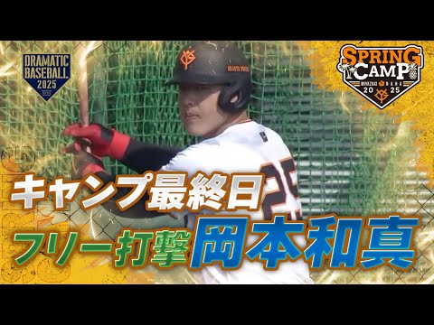 【春季キャンプ】キャンプ最終日 "岡本和真" フリー打撃【巨人】