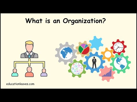 What is an Organization? | Elements, Process, importance of Organization