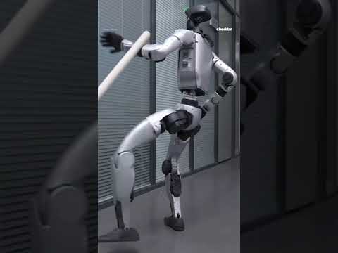 Humanoid robot shows off new kung-fu skills