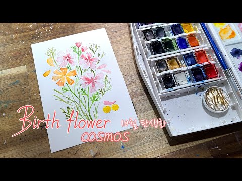 Cosmos,  birth flower, cute character, watercolor illustration