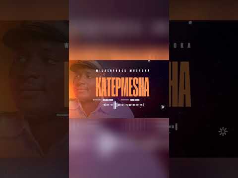 KATEPMESHA  -WILBERFORCE MUSYOKA