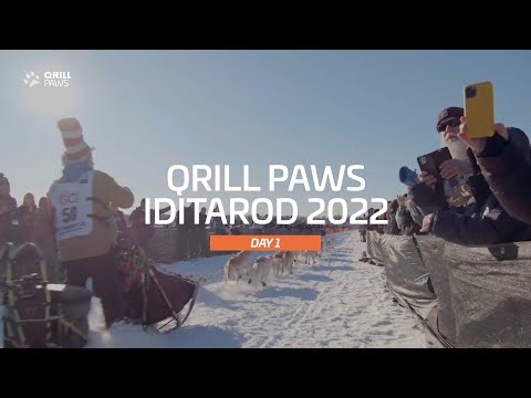 Iditarod Highlight | DAY 1 | QRILLPAWS 2022