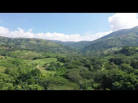 Conservación cuenca de riberas- Origen Suroeste Antioqueño