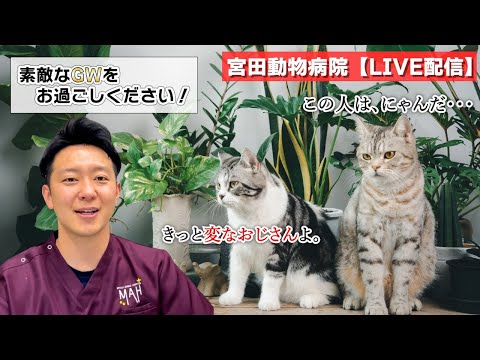 宮田動物病院 ライブ配信【MAHチャンネル】