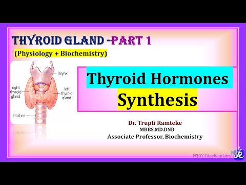 1: Thyroid Hormones synthesis| Thyroid Gland | Physiology + Biochemistry | NJOY Biochemistry