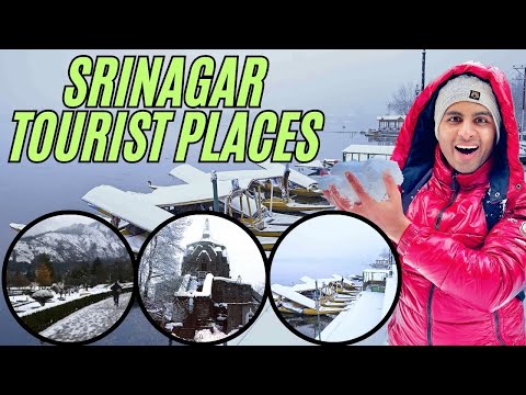 Srinagar Tourist Places | Srinagar Places To Visit | Srinagar Weather Update | Thakur Saurav Vlog