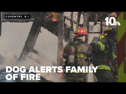 Fire officials battle house fire in Coventry after residents alerted by dog