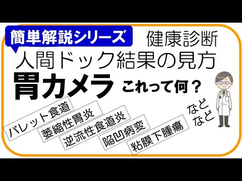 【人間ドック結果の見方】上部消化管内視鏡検査（胃カメラ）、健康診断結果の見方