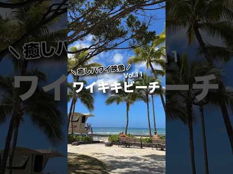 本日の #癒しハワイ 映像は #ワイキキビーチ から！#ハワイ #ハワイ旅行 #ワイキキ #ハワイ気分 #hawaii #waikiki #waikikibeach #oahu #honolulu