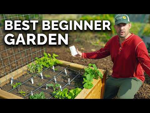 Square Foot Gardening: Easiest Way to Grow MORE Food in LESS Space