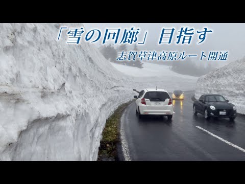 草津町から「雪の回廊」目指す。きょう4月24日志賀草津高原ルート開通