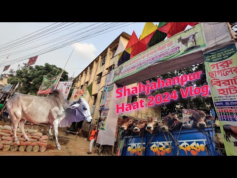 Shahjahanpur Haat Vlog 2024 || অবশেষে অনেক দামা দামীর পরও কেনা হলোনা (Samin) মামার এর জন্য গরু। 🐮👀